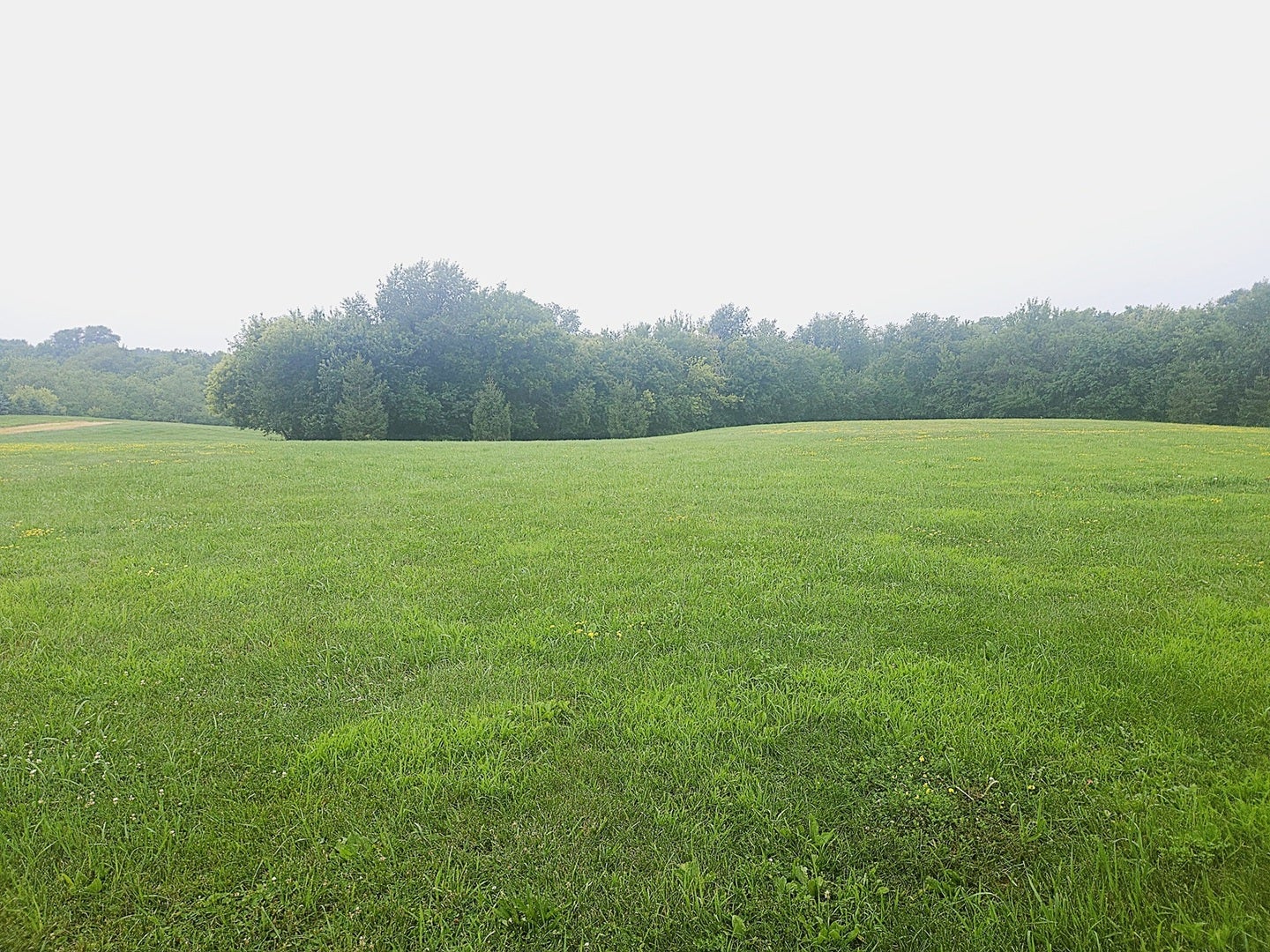 2141 Whitetail Lane