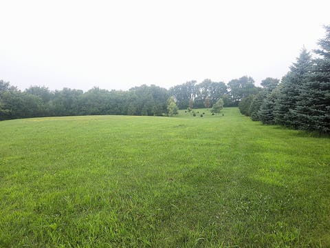 MLS: 12710188