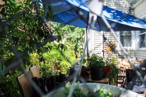 Tiny photo for 6315 S TROY Street, Chicago, IL 60629 (MLS # 12751943)
