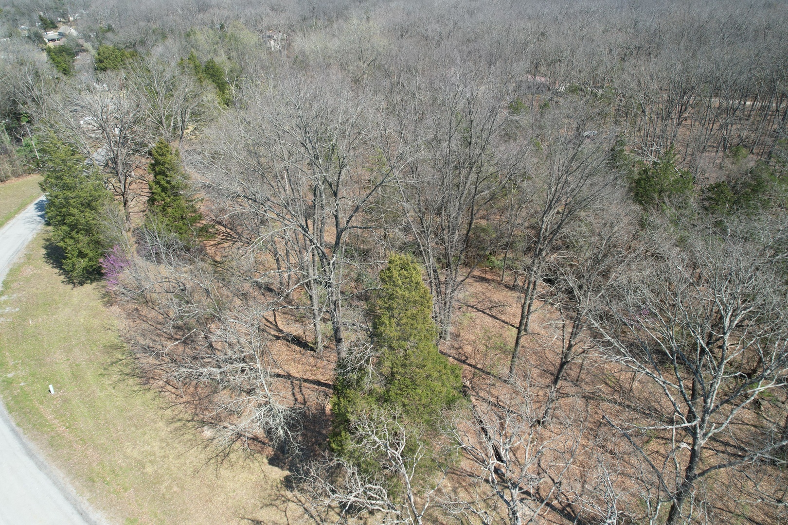 TBD Clifty Heights Road