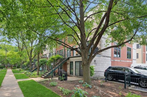 1812 S DEARBORN Street 3 Chicago IL 60616