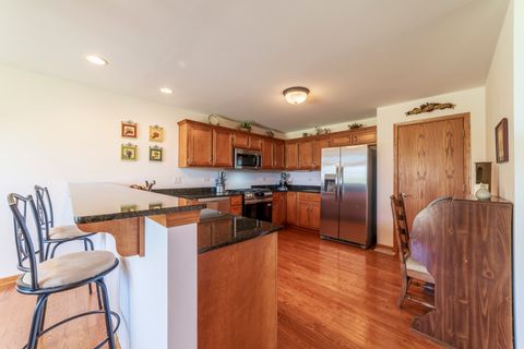 Tiny photo for 471 Linden Circle, Beecher, IL 60401 (MLS # 12447888)