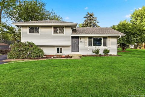 Photo of 152 Skyline Drive, Carpentersville, IL 60110 (MLS # 12636237)