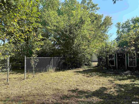 Tiny photo for 313 CASTLETON Avenue, Mt Vernon, IL 62864 (MLS # EB459803)