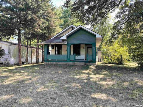 Photo of 313 CASTLETON Avenue, Mt Vernon, IL 62864 (MLS # EB459803)