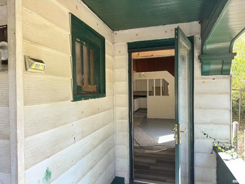 Tiny photo for 313 CASTLETON Avenue, Mt Vernon, IL 62864 (MLS # EB459803)