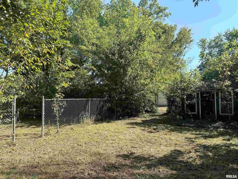 Tiny photo for 313 CASTLETON Avenue, Mt Vernon, IL 62864 (MLS # EB459803)