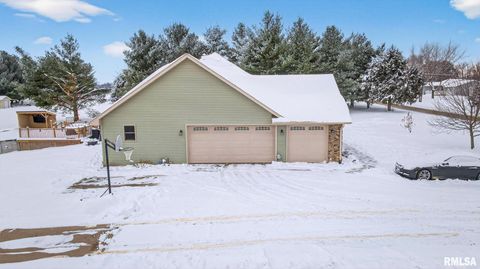 Tiny photo for 5759 Riverview Road, Fulton, IL 61285 (MLS # QC4269931)