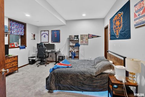 Tiny photo for 5759 RIVERVIEW Road, Thomson, IL 61285 (MLS # QC4269931)