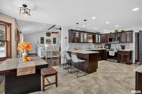 Tiny photo for 5759 RIVERVIEW Road, Thomson, IL 61285 (MLS # QC4269931)