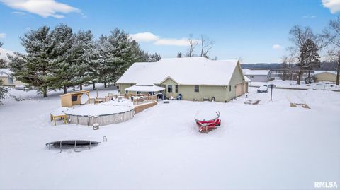 Tiny photo for 5759 Riverview Road, Fulton, IL 61285 (MLS # QC4269931)