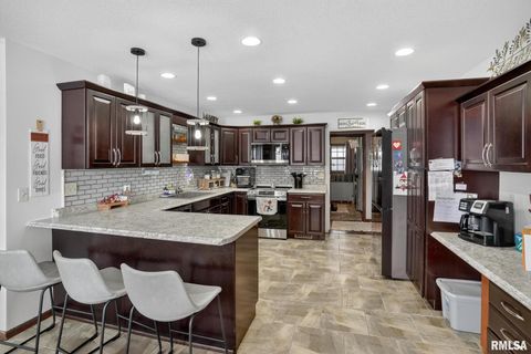 Tiny photo for 5759 RIVERVIEW Road, Thomson, IL 61285 (MLS # QC4269931)