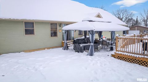 Tiny photo for 5759 RIVERVIEW Road, Thomson, IL 61285 (MLS # QC4269931)