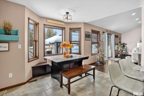 Tiny photo for 5759 RIVERVIEW Road, Thomson, IL 61285 (MLS # QC4269931)