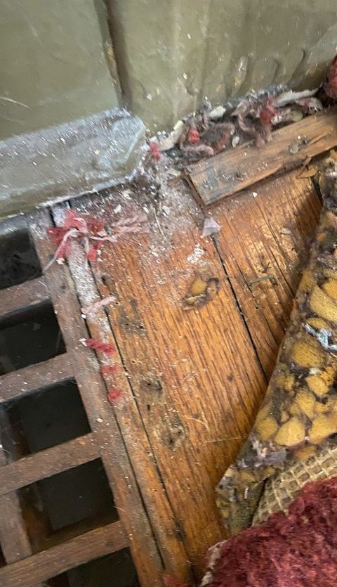 Tiny photo for 1225 E 71st Place, Chicago, IL 60619 (MLS # 12505141)