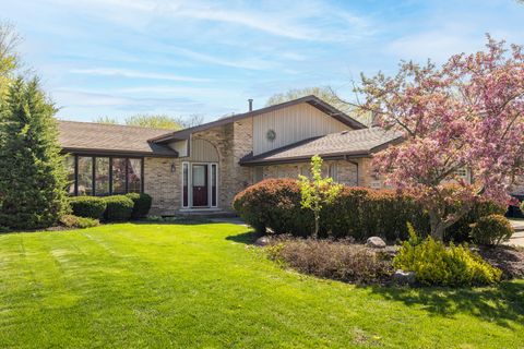 13035 Meadowlark Court Homer Glen IL 60491