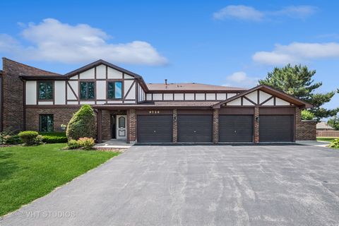 9726 Mill Court B2 Palos Park IL 60464