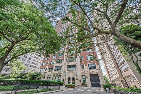 3920 N Lake Shore Drive 3S Chicago IL 60613