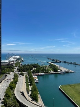 474 N Lake Shore Drive 2212