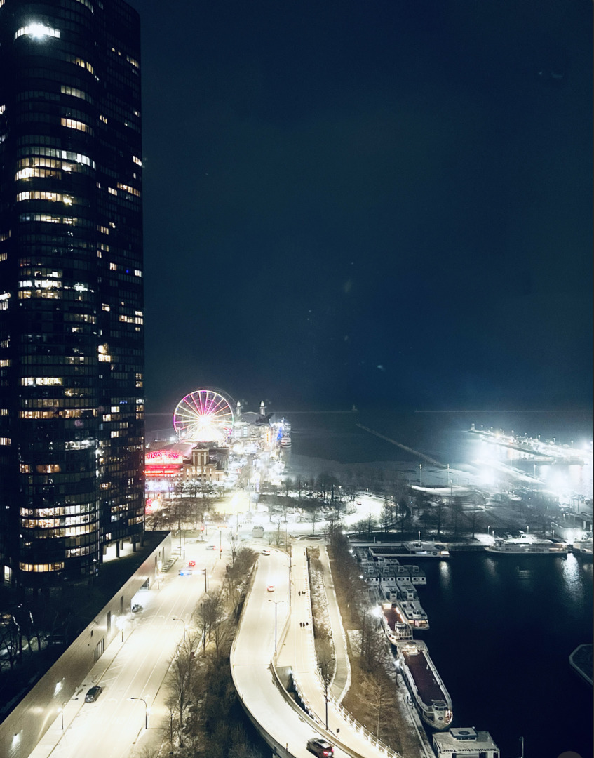 474 N Lake Shore Drive 2212