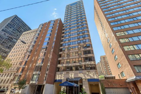 221 E Walton Place 19E Chicago IL 60611