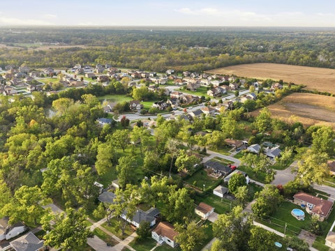 Tiny photo for 732 1st Street, Crete, IL 60417 (MLS # 12785419)