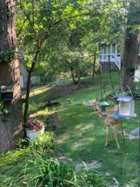 Tiny photo for 2019 11TH Street Place, East Moline, IL 61244 (MLS # QC4269440)