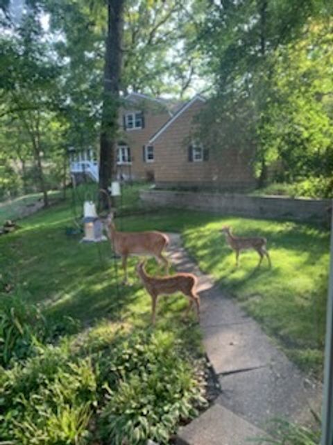 Tiny photo for 2019 11TH Street Place, East Moline, IL 61244 (MLS # QC4269440)