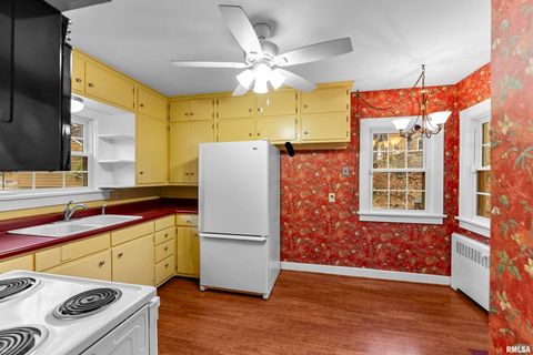 Tiny photo for 2019 11TH Street Place, East Moline, IL 61244 (MLS # QC4269440)