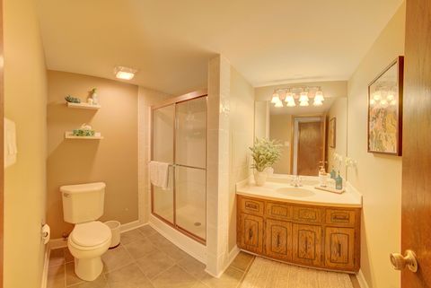 Tiny photo for 15656 S Walnut Court, Homer Glen, IL 60491 (MLS # 12511139)