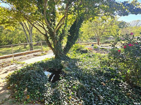 Tiny photo for 2131 W SUNNYBROOK Drive, Quincy, IL 62301 (MLS # QC4268708)