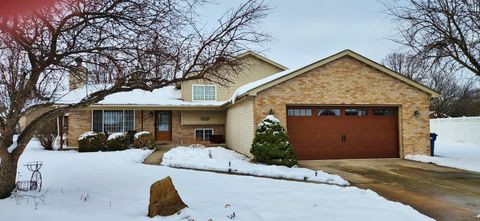 1445 Scott Circle Morris IL 60450