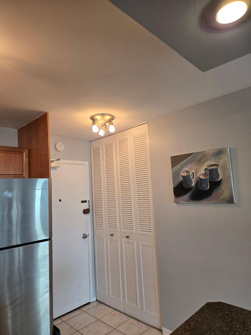 555 W Cornelia Avenue 1706
