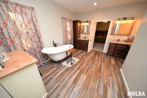 Tiny photo for 17359 Log Cabin Road, Ewing, IL 62836 (MLS # EB459497)