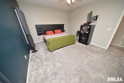 Tiny photo for 17359 Log Cabin Road, Ewing, IL 62836 (MLS # EB459497)