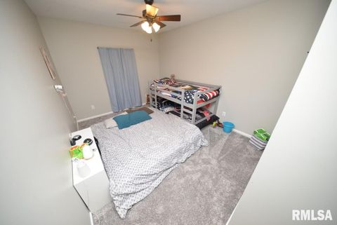 Tiny photo for 17359 Log Cabin Road, Ewing, IL 62836 (MLS # EB459497)