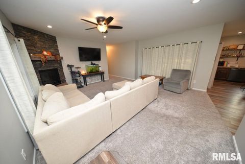 Tiny photo for 17359 Log Cabin Road, Ewing, IL 62836 (MLS # EB459497)