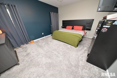 Tiny photo for 17359 Log Cabin Road, Ewing, IL 62836 (MLS # EB459497)