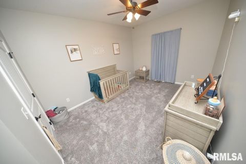 Tiny photo for 17359 Log Cabin Road, Ewing, IL 62836 (MLS # EB459497)