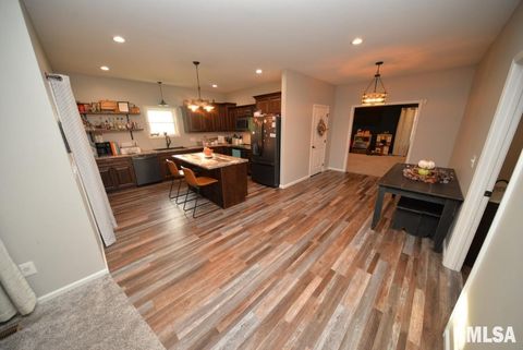 Tiny photo for 17359 Log Cabin Road, Ewing, IL 62836 (MLS # EB459497)