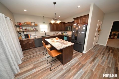 Tiny photo for 17359 Log Cabin Road, Ewing, IL 62836 (MLS # EB459497)