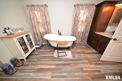 Tiny photo for 17359 Log Cabin Road, Ewing, IL 62836 (MLS # EB459497)