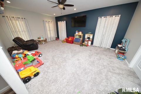 Tiny photo for 17359 Log Cabin Road, Ewing, IL 62836 (MLS # EB459497)