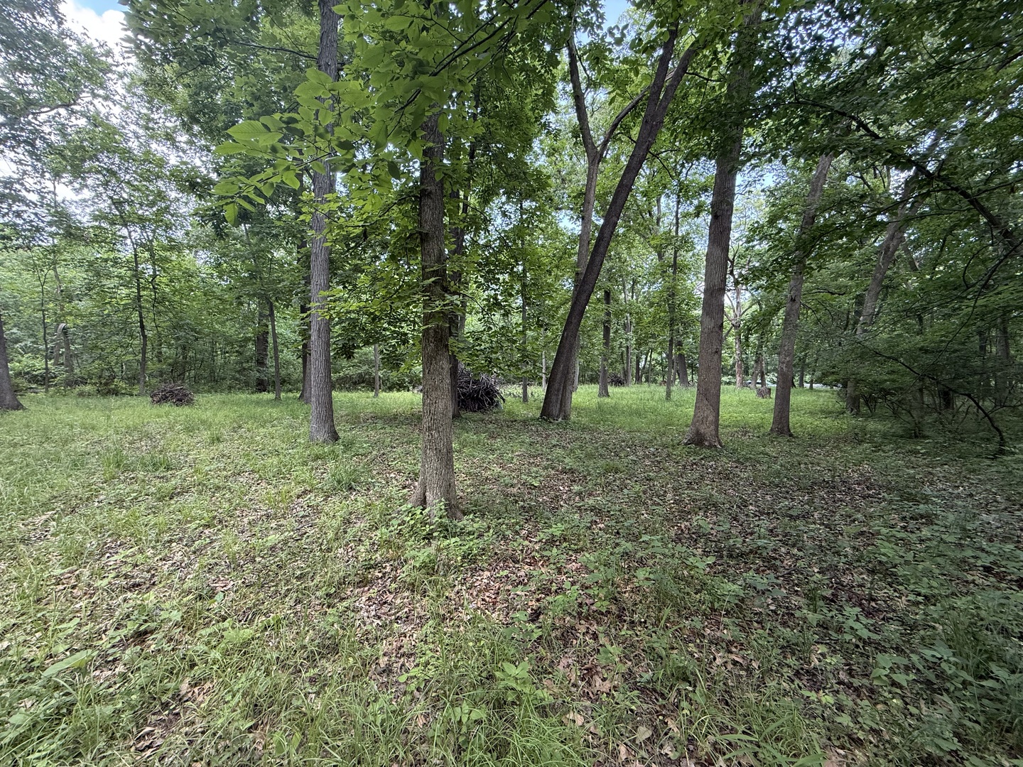 Lot 235 Lake Thunderbird Drive