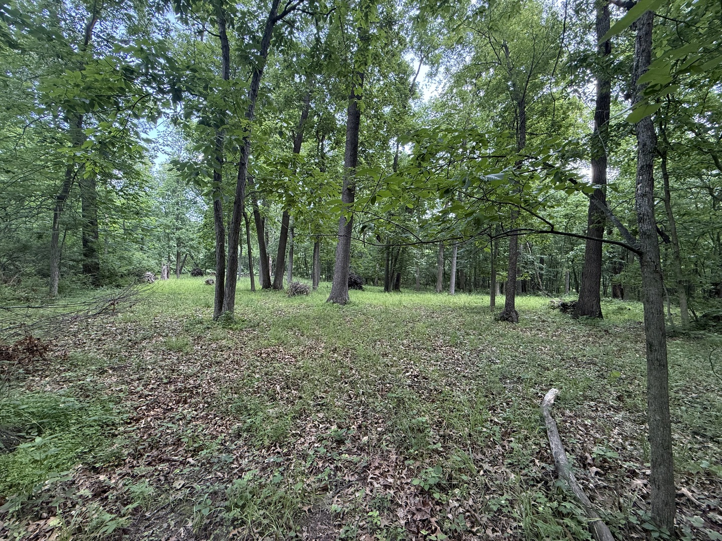 Lot 235 Lake Thunderbird Drive
