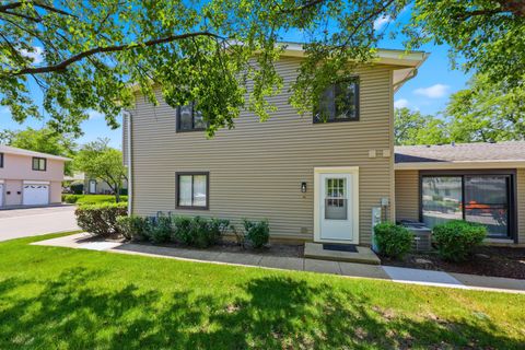 Tiny photo for 127 Fairlane Court #D, Bloomingdale, IL 60108 (MLS # 12706666)