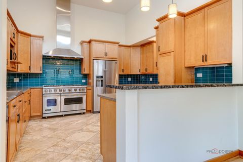 Tiny photo for 423 Ames Street, Libertyville, IL 60048 (MLS # 12380238)