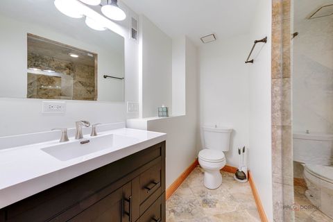 Tiny photo for 423 Ames Street, Libertyville, IL 60048 (MLS # 12380238)