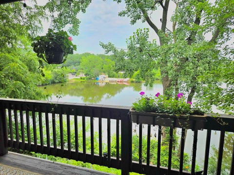 Tiny photo for 5544 E Lake Drive #76-D, Lisle, IL 60532 (MLS # 12714634)