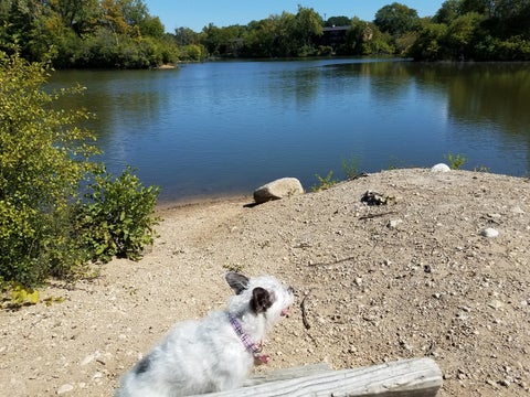 Tiny photo for 5544 E Lake Drive #76-D, Lisle, IL 60532 (MLS # 12714634)